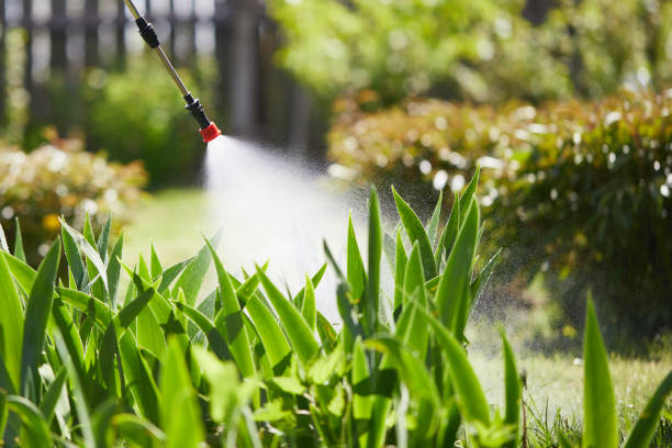 24/7 Emergency Mosquito Control experts in Maxwell, CA